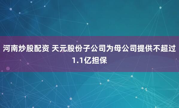 河南炒股配资 天元股份子公司为母公司提供不超过1.1亿担保