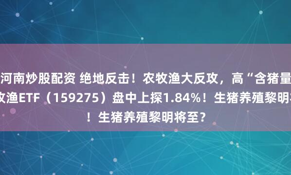 河南炒股配资 绝地反击!农牧渔大反攻,高“含猪量”农牧渔ETF(159275)盘中上探1.84%!生猪养殖黎明将至?