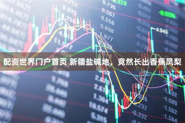 配资世界门户首页 新疆盐碱地，竟然长出香蕉凤梨